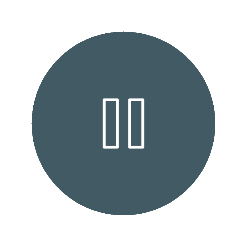 Related Animation