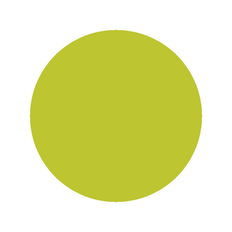 Animation