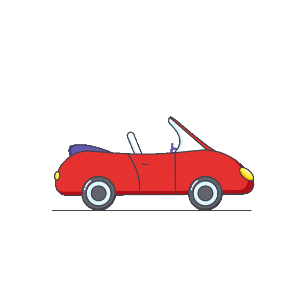 Animation